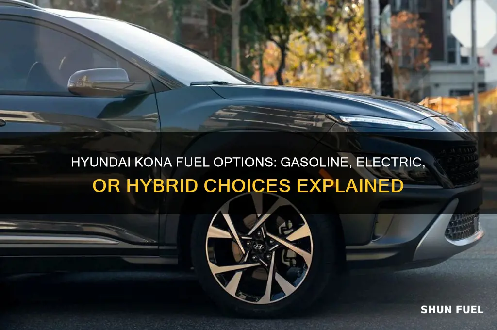 what fuel does a hyundai kona use
