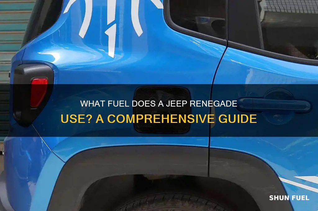 what fuel does a jeep renegade use