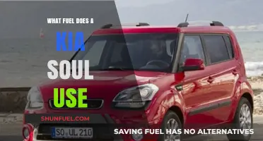 Kia Soul Fuel Type: Gasoline, Efficiency, and Performance Explained