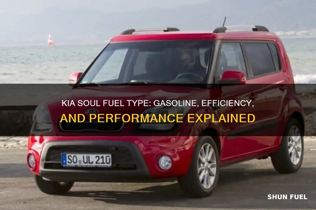 what fuel does a kia soul use