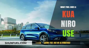 Kia Niro Fuel Options: Gasoline, Hybrid, or Electric Power?