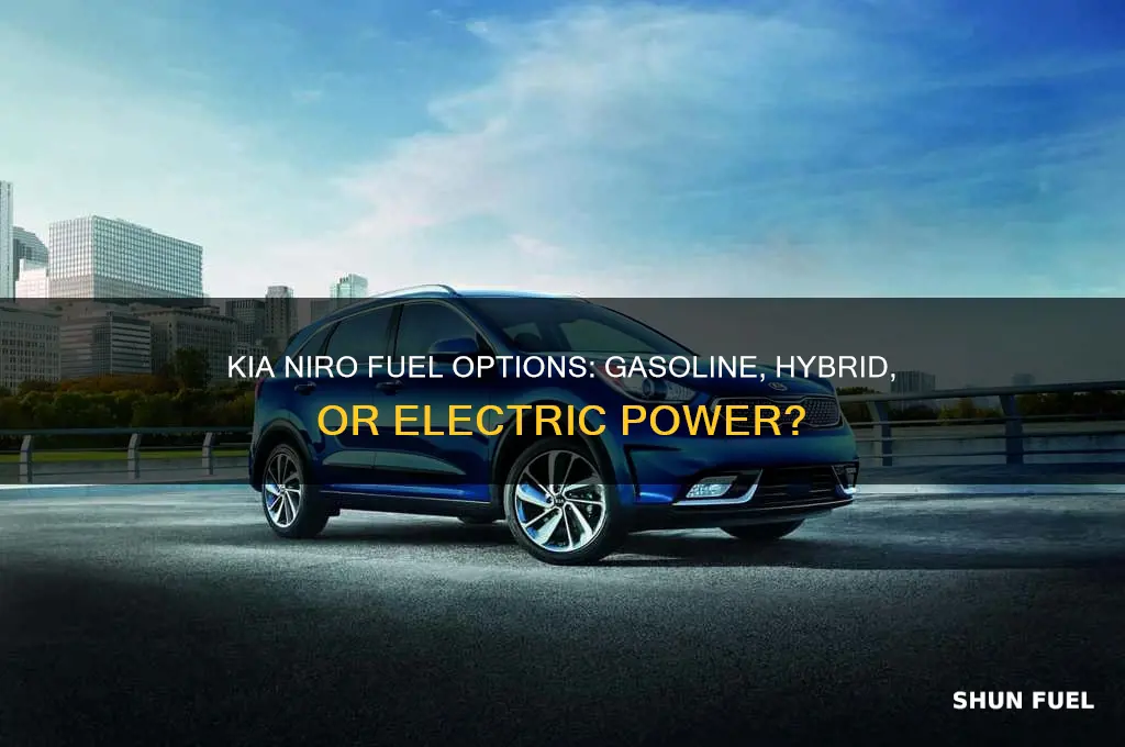 what fuel does a kua niro use