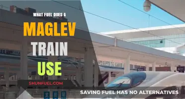 How Maglev Trains Operate: Uncovering Their Unique Power Source