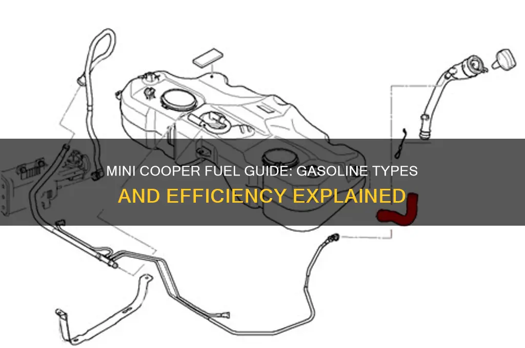 what fuel does a mini cooper use