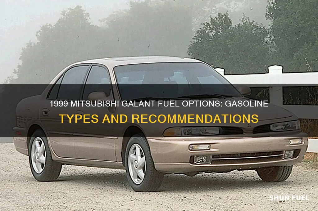 what fuel does a mitsubishi gluan 1999 can take