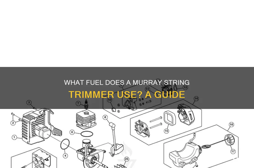 what fuel does a murray string trimmer use