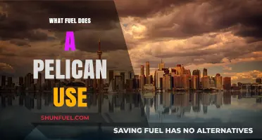 What Fuel Powers Pelicans? Unveiling Their Unique Energy Source