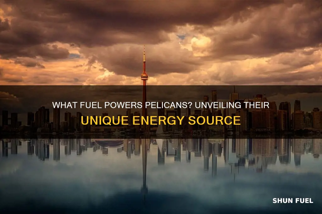 what fuel does a pelican use