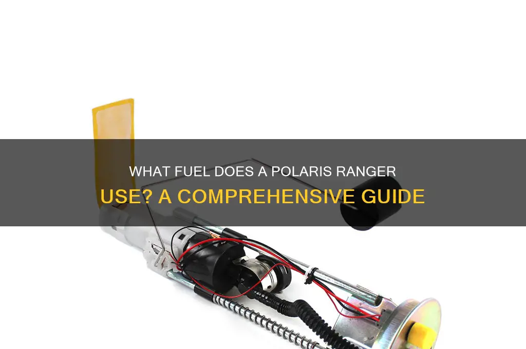 what fuel does a polaris ranger use