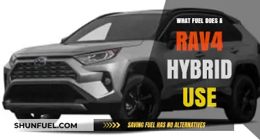Toyota RAV4 Hybrid Fuel Type: Gasoline and Electric Power Explained