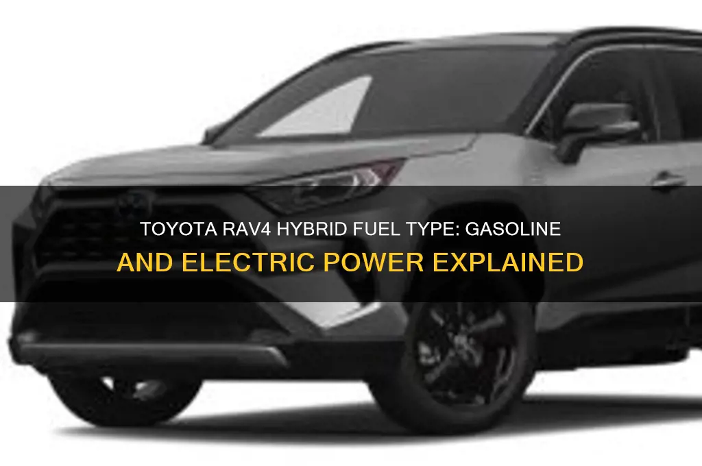 what fuel does a rav4 hybrid use