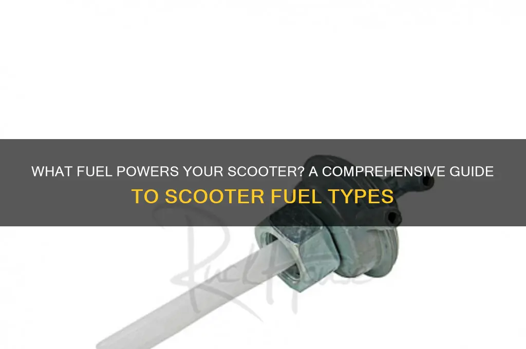 what fuel does a scooter use