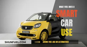 Smart Car Fuel Efficiency: What Powers These Compact Cars?