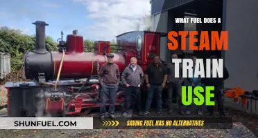 Steam Train Fuel: Exploring the Power Source Behind Locomotives