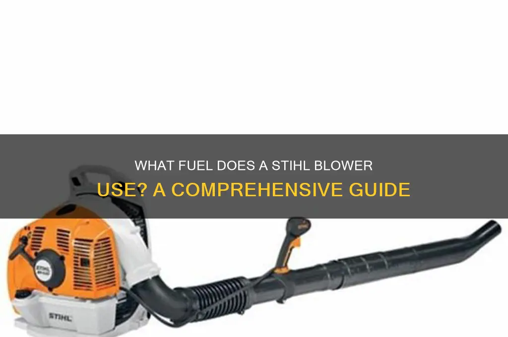 what fuel does a stihl blower use