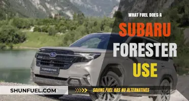 Subaru Forester Fuel Guide: Gasoline Types and Efficiency Explained