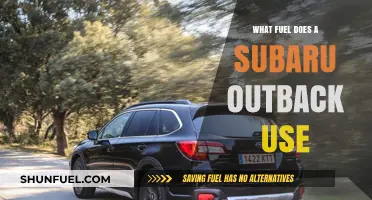 Subaru Outback Fuel Type: Gasoline, Efficiency, and Performance Explained