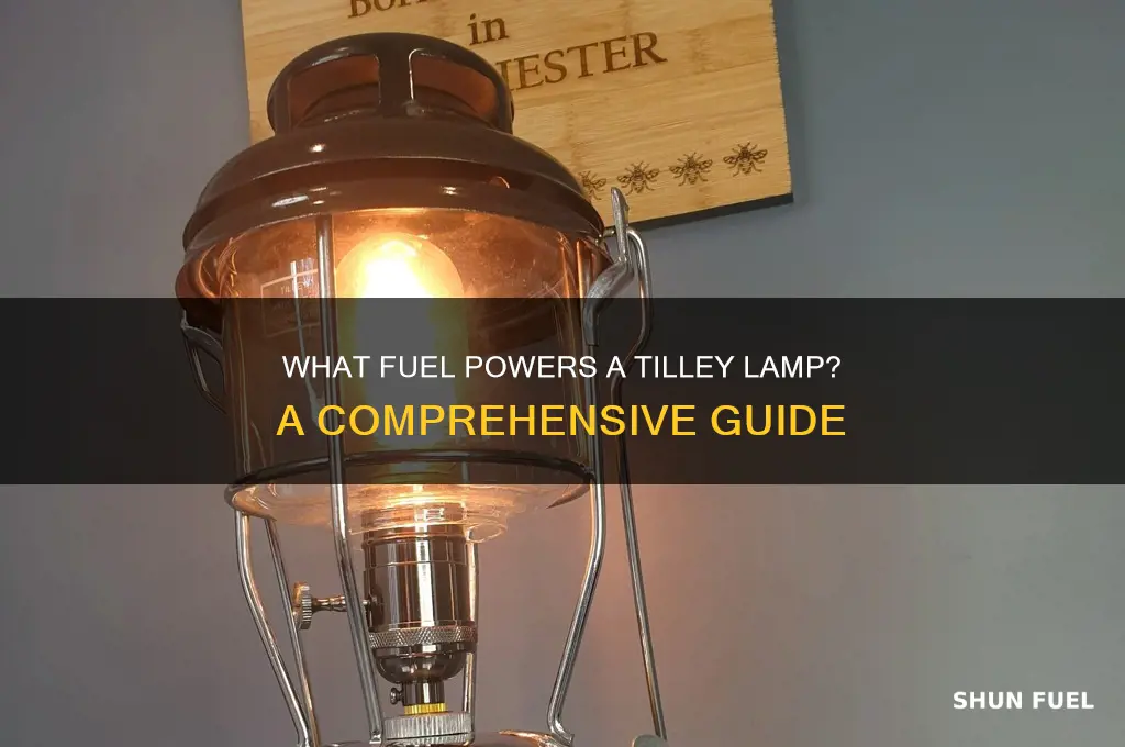 what fuel does a tilley lamp use