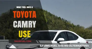 Toyota Camry Fuel Types: Gasoline, Hybrid, or Alternative Options?