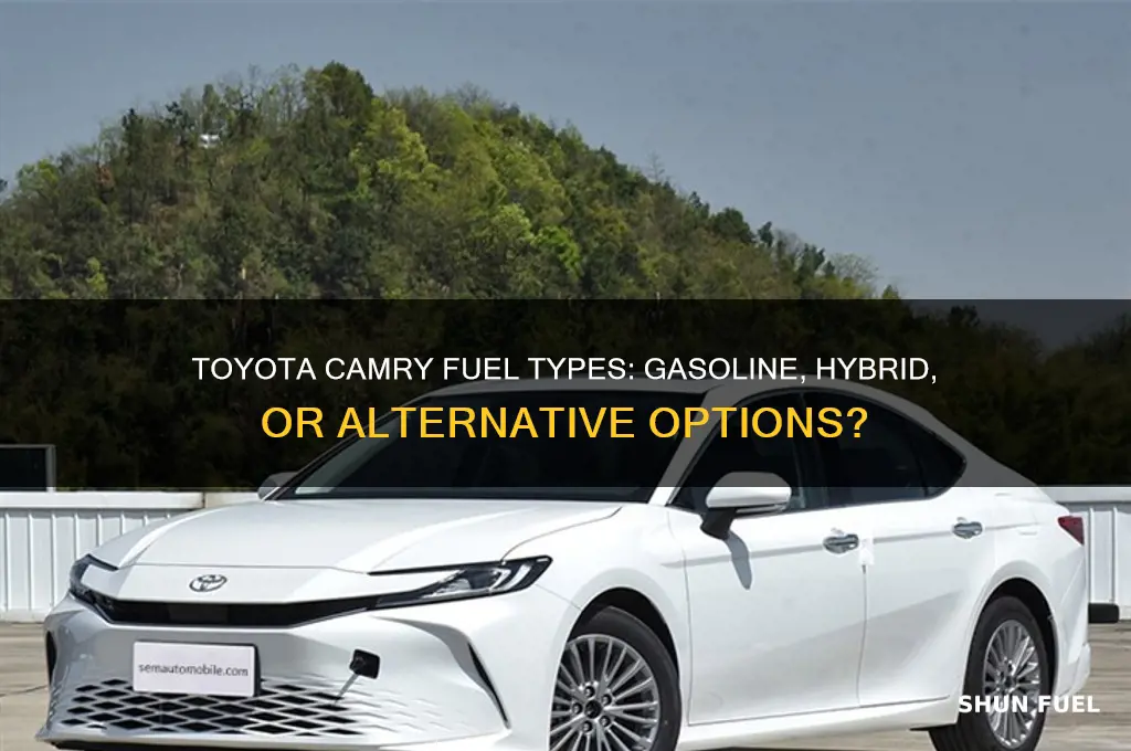 what fuel does a toyota camry use