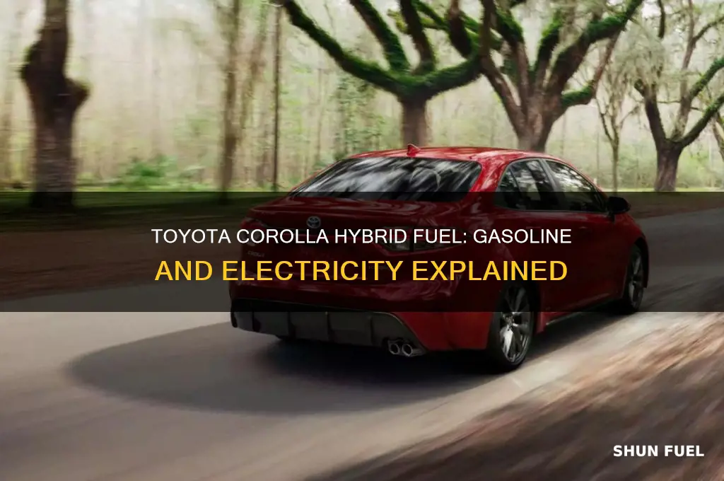 what fuel does a toyota corolla hybrid use