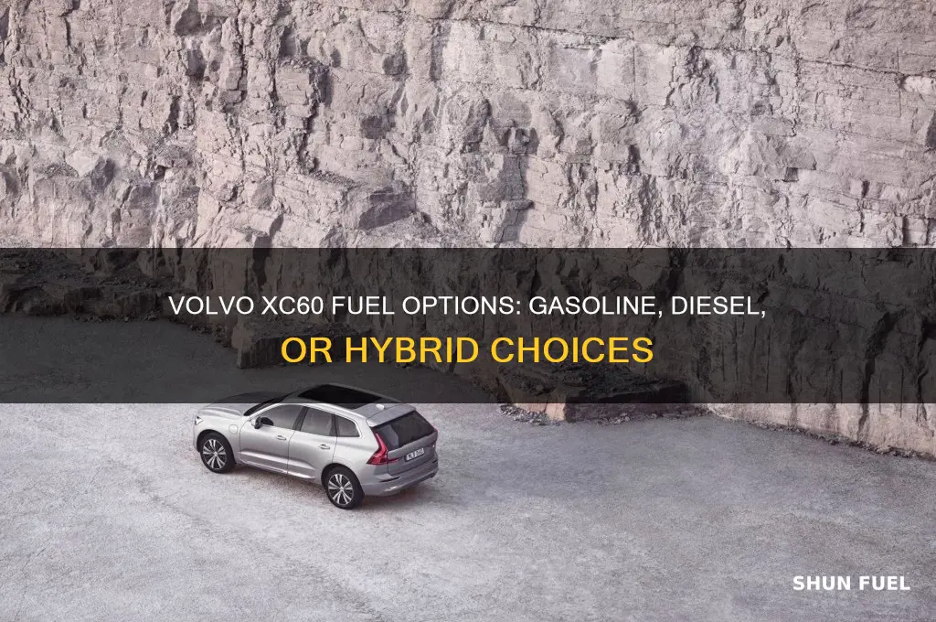 what fuel does a volvo xc60 use