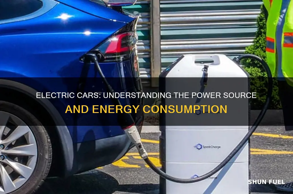 what fuel does an electric car use