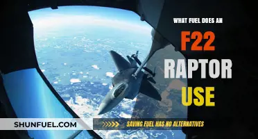 F-22 Raptor Fuel: Powering the Stealth Fighter's Performance