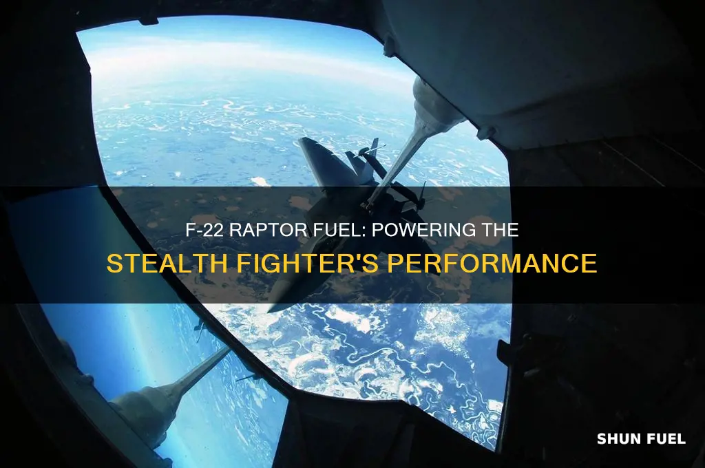 what fuel does an f22 raptor use