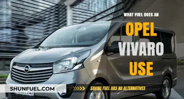 Opel Vivaro Fuel Type: Diesel, Petrol, or Electric Options Explained