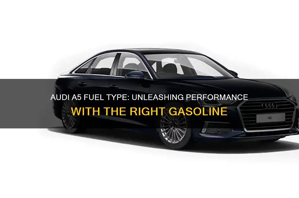 what fuel does audi a5 use