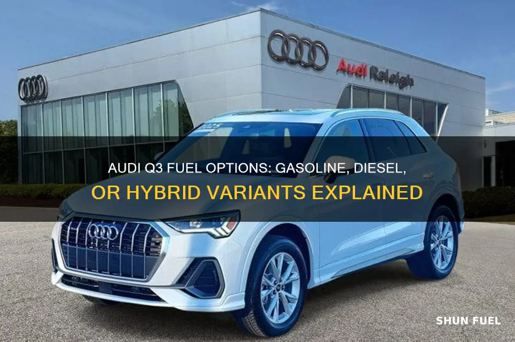 what fuel does audi q3 use