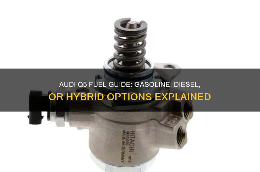 what fuel does audi q5 use