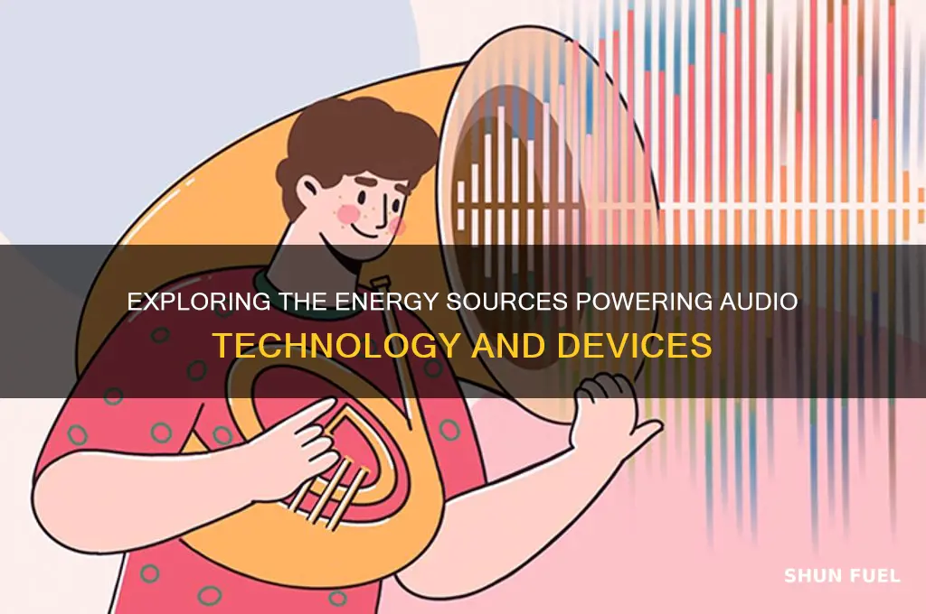 what fuel does audio