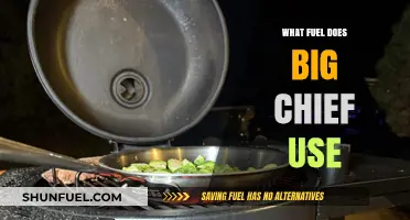 Big Chief's Fuel Choice: Unveiling the Power Behind the Grill