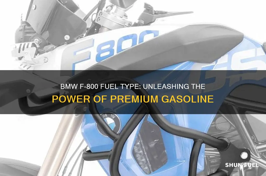 what fuel does bmw f-800 use