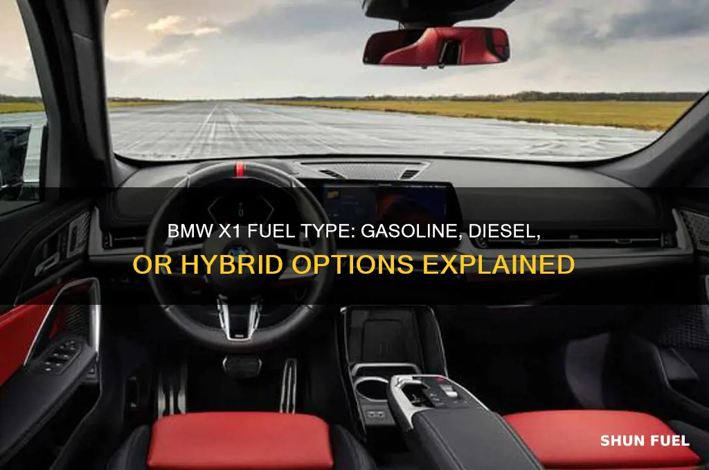 what fuel does bmw x1 use
