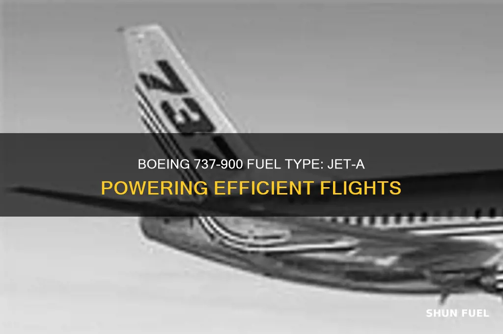 what fuel does boeing 737 900 use