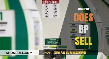 BP's Fuel Offerings: Gasoline, Diesel, and Alternative Energy Options Explained