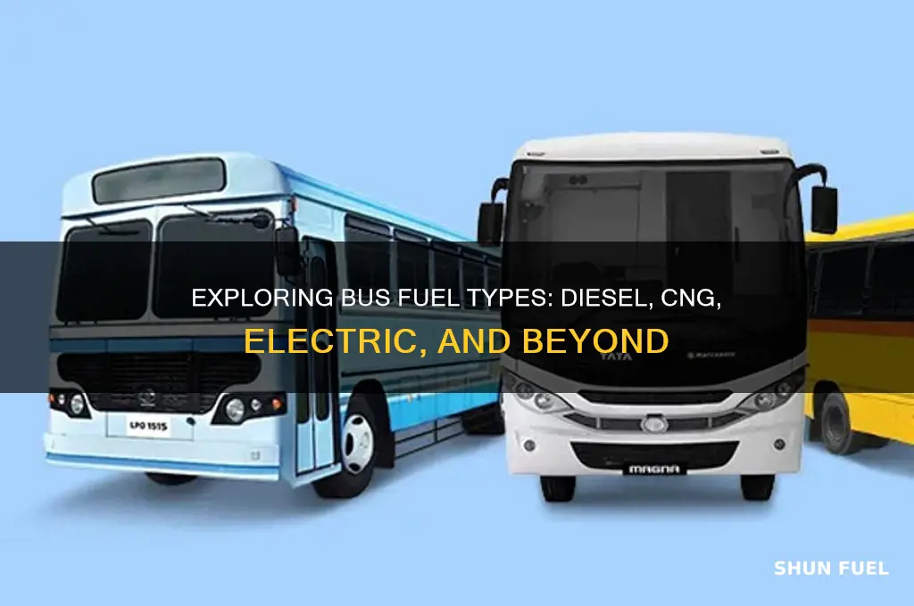 what fuel does bus use