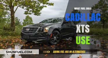 Cadillac XTS Fuel Type: Gasoline Options and Efficiency Explained