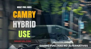 Camry Hybrid Fuel Type: Gasoline and Electricity Efficiency Explained