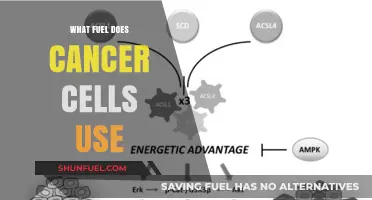 Unveiling Cancer's Energy Source: The Fuel Driving Tumor Growth