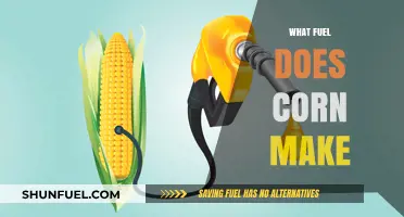 Corn's Energy Potential: Exploring the Fuel Produced from Corn