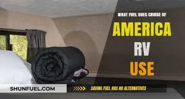 Cruise America RV Fuel Guide: What Powers Your Adventure?