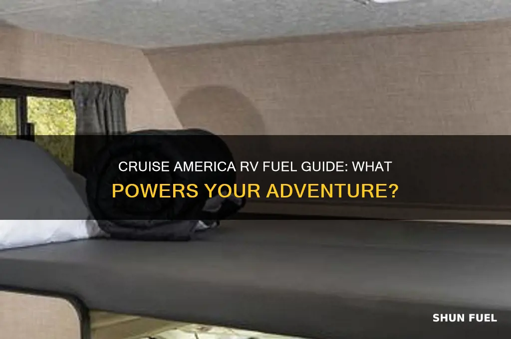 what fuel does cruise of america rv use