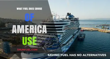 Cruise of America's Fuel Choice: Unveiling the Power Behind the Voyage