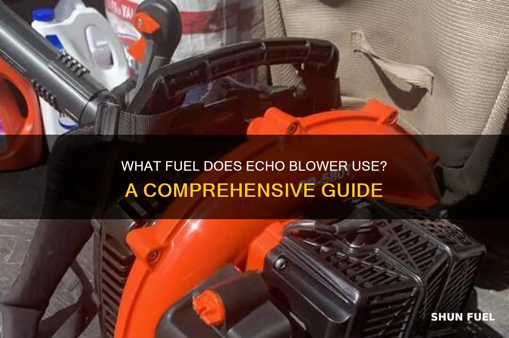 what fuel does echo blower use