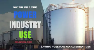 Electric Power Industry Fuel Sources: Beyond Coal and Gas