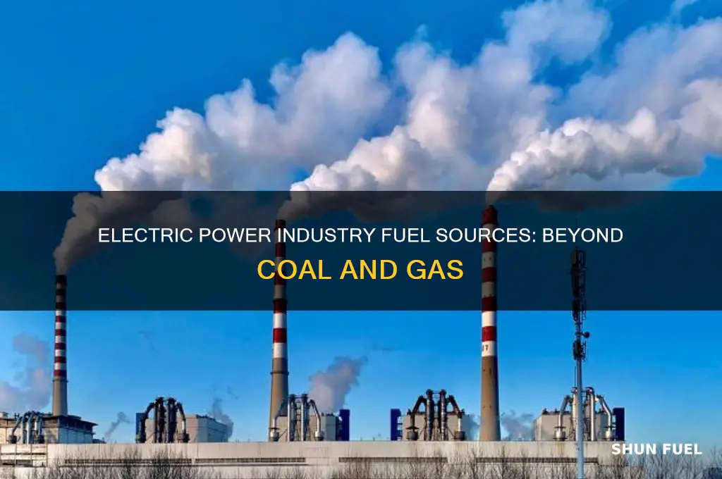what fuel does electric power industry use